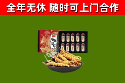 平果烟酒回收冬虫夏草礼盒.jpg
